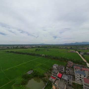 樟树市昌傅镇李家老