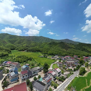 樟树市店下镇大坑村