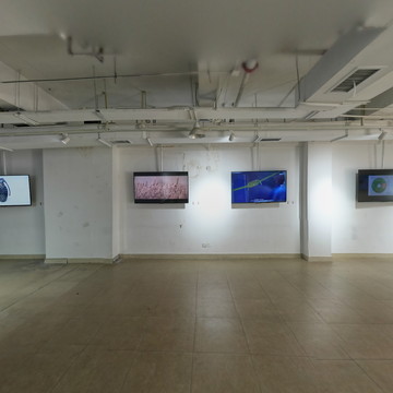 教师作品展