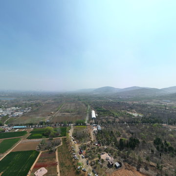 山东省枣庄市永安镇莲花山郁金香