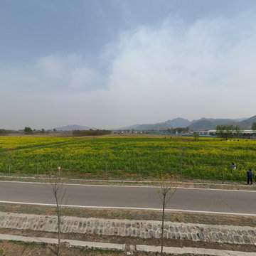 人间最美四月天