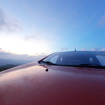 晴隆到兴仁之间林场 高原草场