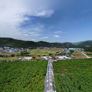 陌上梓桑果采摘园欢迎您