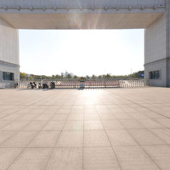 理工南门到精工1