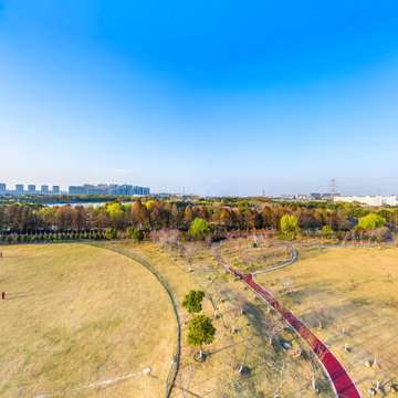 周市樱花园VR全景