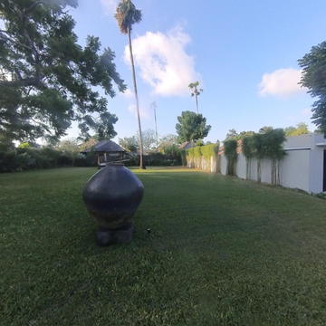 金巴兰｜肉桂草坪