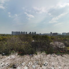 日湖公园旁湖西路