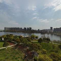 日湖公园郁金香