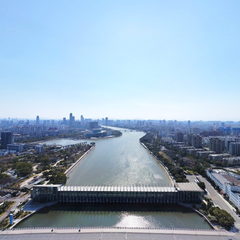 俯瞰姚江公园全貌