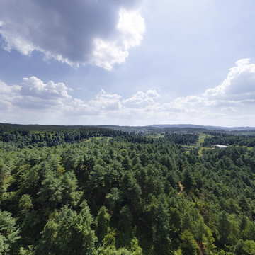曲靖周边山村蓝眼泪