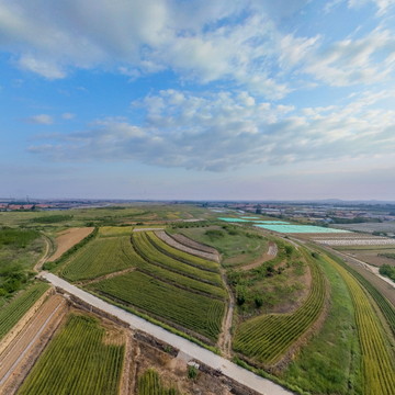 任先生南苑民宿