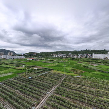 施秉县平宁生态火龙果草莓采摘园