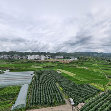 施秉县平宁冬瓜种植基地