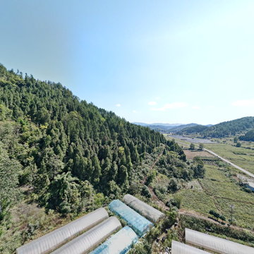 施秉地坝胡峰繁殖基地