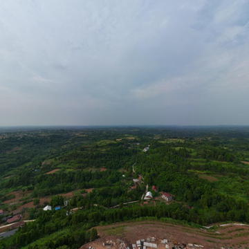 正大6000头种猪场