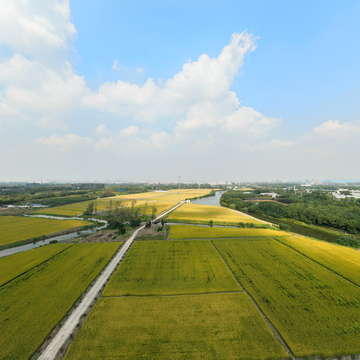 2022年洛社低效用地（秦林路南地块）