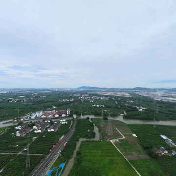 阳山庙墩浜20240701