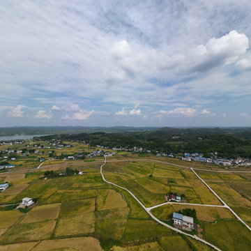 南充市蓬安县睦坝镇