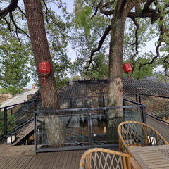 高洞村两棵树民宿两棵树