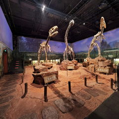 永川博物馆-恐龙展陈馆