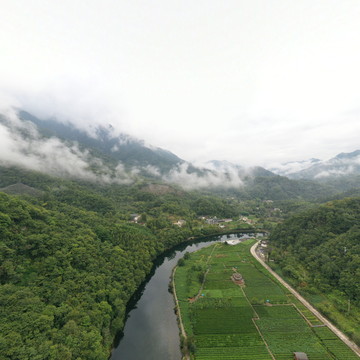 康县康南林业总场阳坝林场