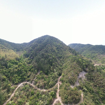 龙泉建筑垃圾消纳场2