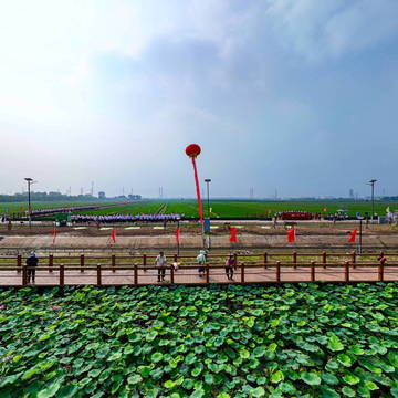 津南会馆稻田歌会