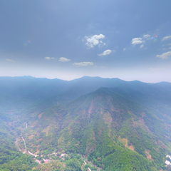 槐树庄森林康养基地