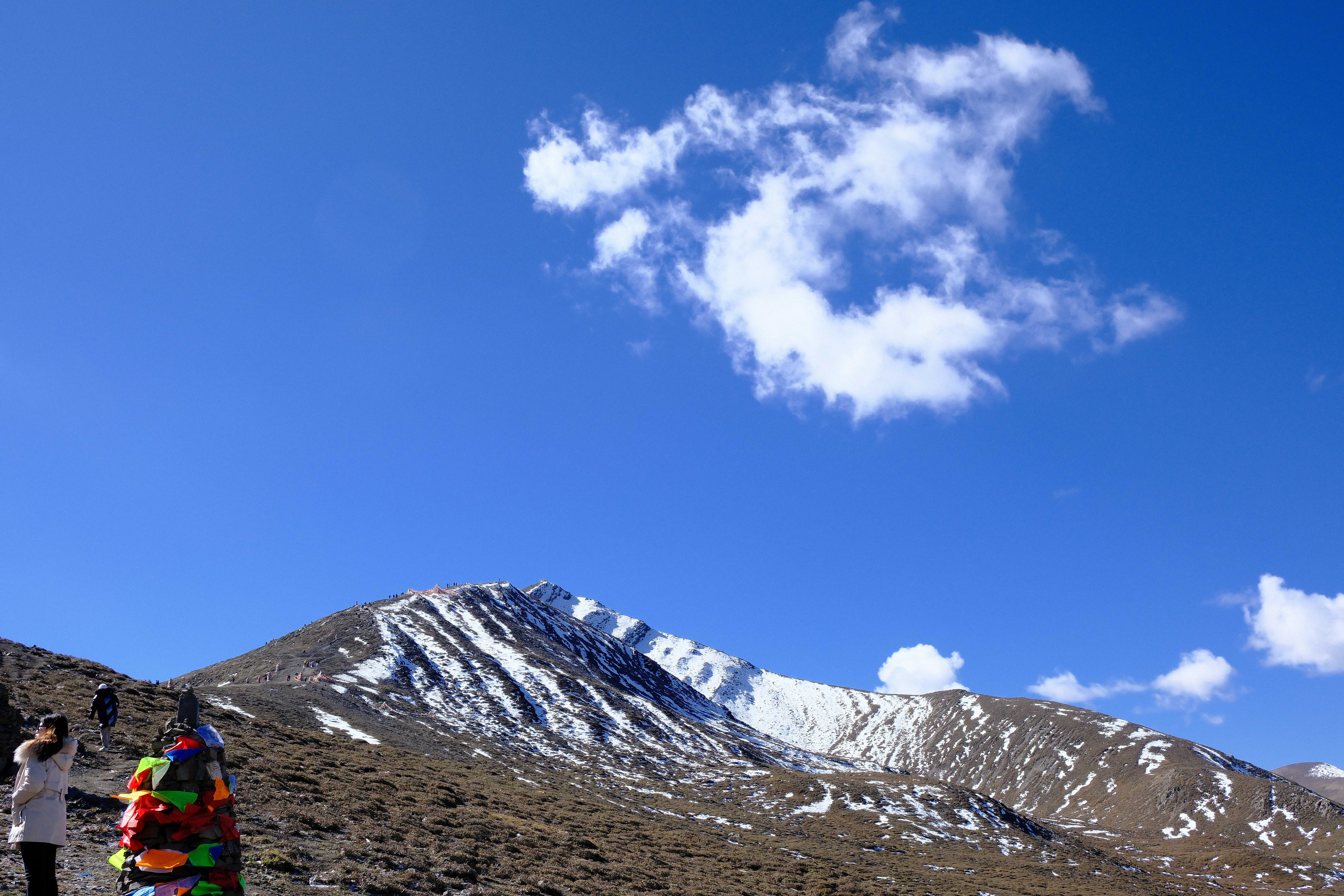 我是一只美好的时光荏苒