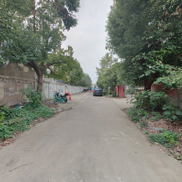 豌豆空间的照片