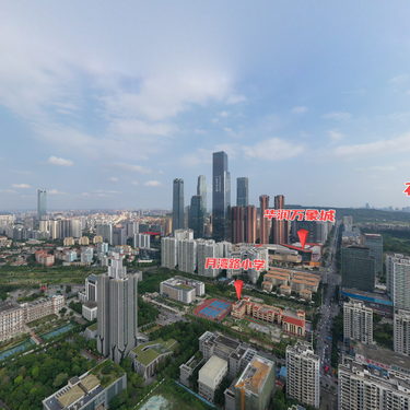 大嘉汇&bull;岭秀一方-区位全景图