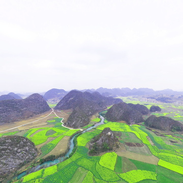 贵州平坝昊禹稻花香里一油菜花田