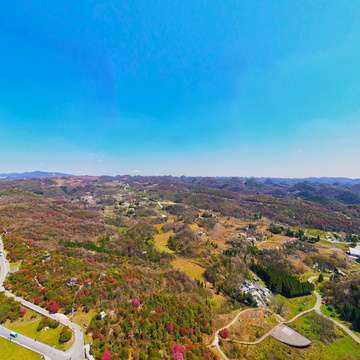 贵州省毕节市百里杜鹃5A级名胜风景区（普底景区）