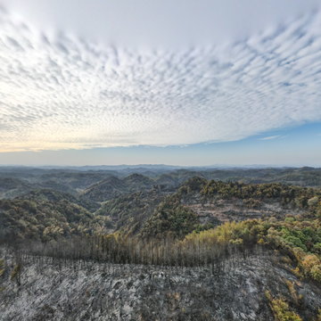 永兴县太和镇样下村八旦组看鲤鱼塘1