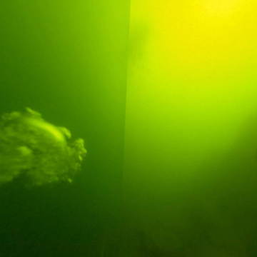 务川自治县湿地公园水底3D图