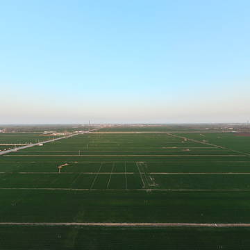 绿色吨半粮3月20日