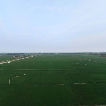 曲周绿色吨半粮全景