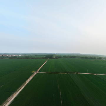 曲周绿色吨半粮4-20