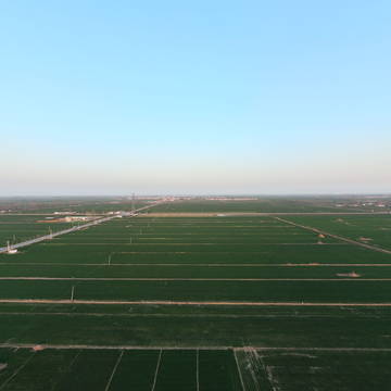 曲周绿色吨半粮全景3月20日