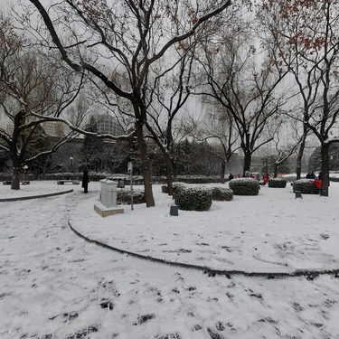 小雪的北京