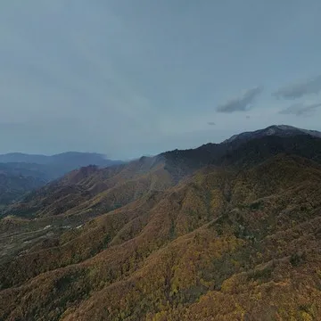 朱雀国家森林公园