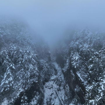 大理苍山雪景任白首