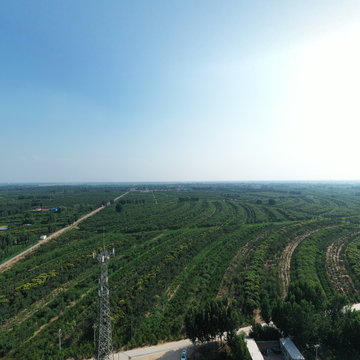 张庄村和它的小学/村委会