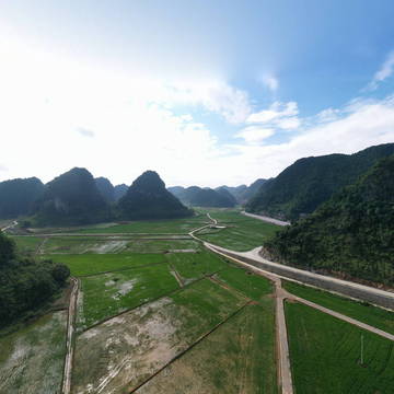 龙礼村旱改水项目