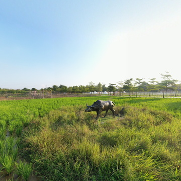 隆安县金穗生态园