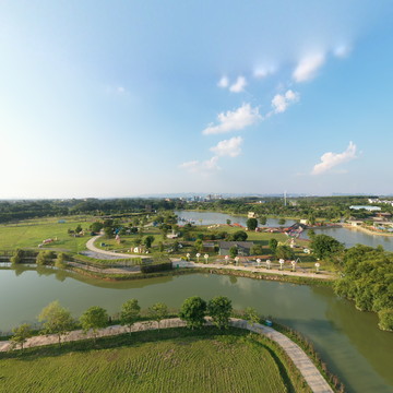 隆安县金穗生态园