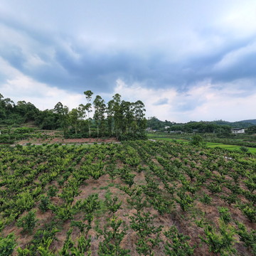 重明鸟无人机飞行学院