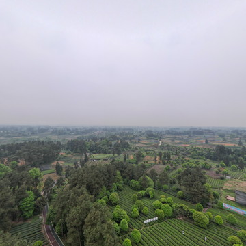 四川省蒲江县比昂数字茶园