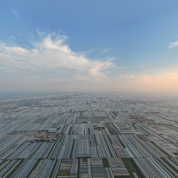 大荔安仁冬枣大棚