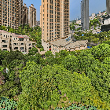 陈家山荷花公园